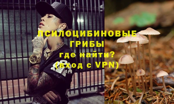 винт Магас