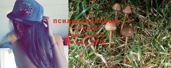 винт Магас
