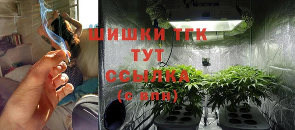 винт Магас