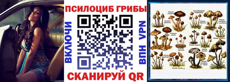 как найти закладки  Нариманов  Галлюциногенные грибы Cubensis 