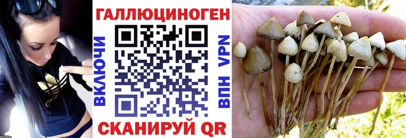 Псилоцибиновые грибы мицелий Нариманов